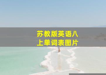 苏教版英语八上单词表图片