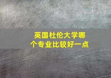 英国杜伦大学哪个专业比较好一点