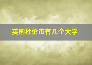 英国杜伦市有几个大学