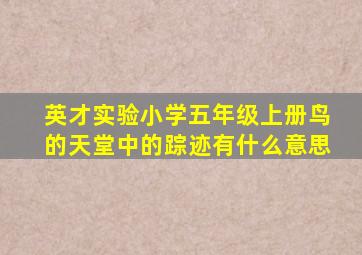 英才实验小学五年级上册鸟的天堂中的踪迹有什么意思