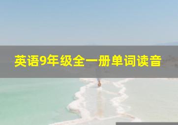 英语9年级全一册单词读音