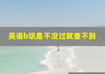 英语b级是不没过就查不到