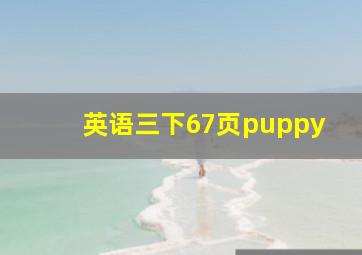 英语三下67页puppy