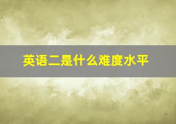 英语二是什么难度水平