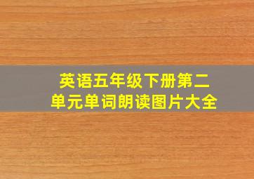 英语五年级下册第二单元单词朗读图片大全