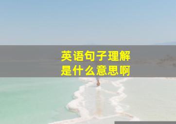 英语句子理解是什么意思啊