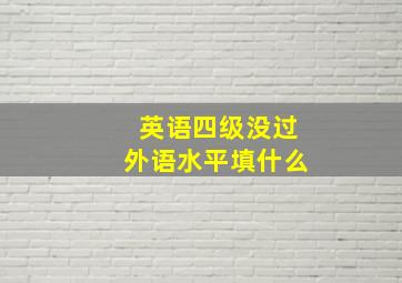 英语四级没过外语水平填什么