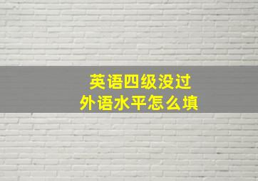 英语四级没过外语水平怎么填