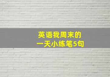 英语我周末的一天小练笔5句