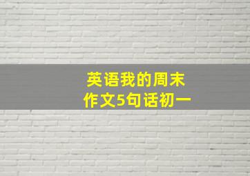 英语我的周末作文5句话初一