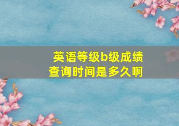 英语等级b级成绩查询时间是多久啊