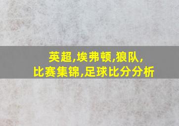 英超,埃弗顿,狼队,比赛集锦,足球比分分析