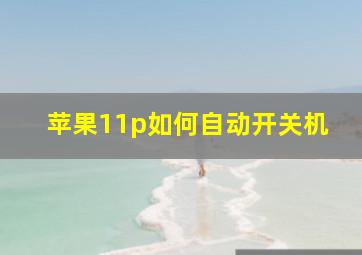 苹果11p如何自动开关机