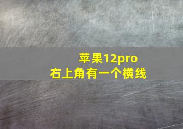 苹果12pro右上角有一个横线