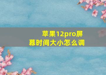 苹果12pro屏幕时间大小怎么调