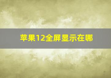 苹果12全屏显示在哪