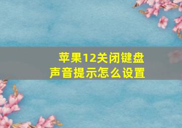 苹果12关闭键盘声音提示怎么设置