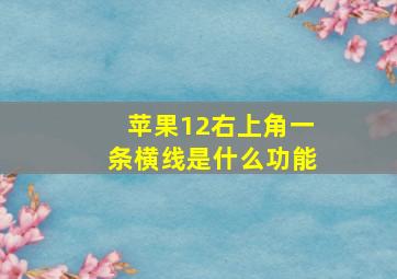 苹果12右上角一条横线是什么功能