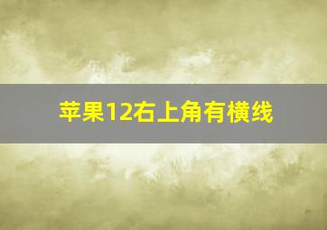 苹果12右上角有横线