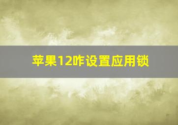 苹果12咋设置应用锁