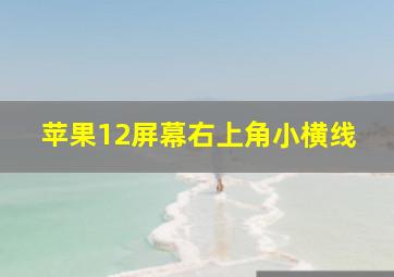 苹果12屏幕右上角小横线