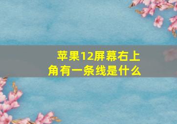 苹果12屏幕右上角有一条线是什么