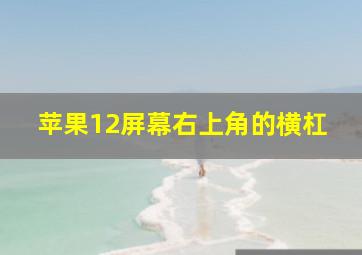 苹果12屏幕右上角的横杠