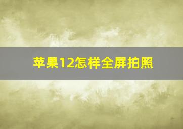 苹果12怎样全屏拍照