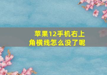 苹果12手机右上角横线怎么没了呢