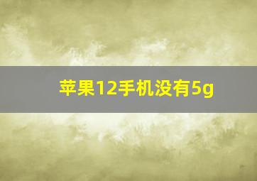 苹果12手机没有5g