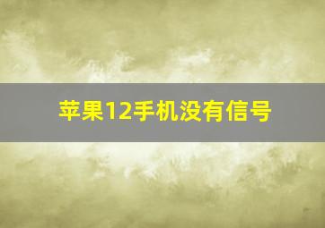 苹果12手机没有信号