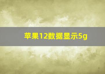 苹果12数据显示5g