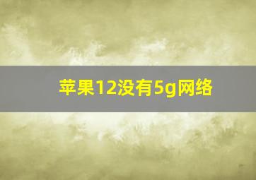 苹果12没有5g网络