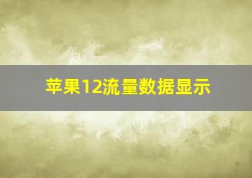 苹果12流量数据显示