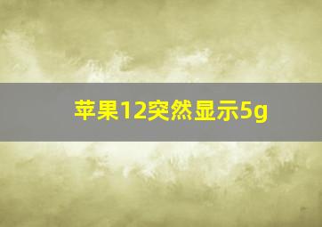 苹果12突然显示5g