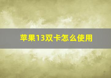 苹果13双卡怎么使用