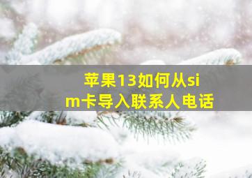 苹果13如何从sim卡导入联系人电话