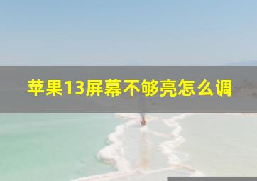 苹果13屏幕不够亮怎么调