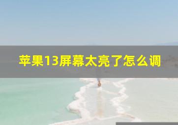 苹果13屏幕太亮了怎么调