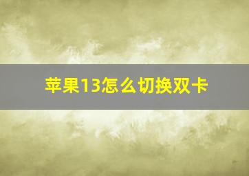 苹果13怎么切换双卡