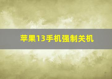 苹果13手机强制关机