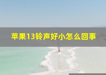 苹果13铃声好小怎么回事