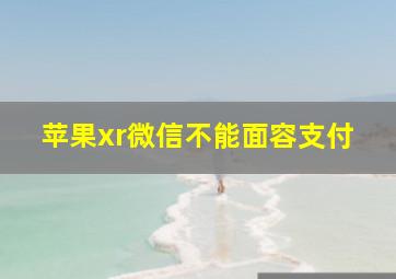 苹果xr微信不能面容支付