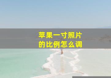 苹果一寸照片的比例怎么调