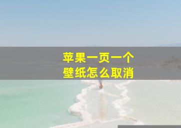 苹果一页一个壁纸怎么取消