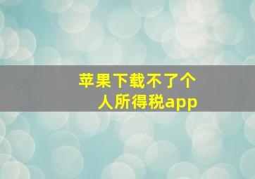 苹果下载不了个人所得税app