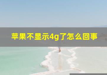 苹果不显示4g了怎么回事