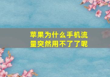 苹果为什么手机流量突然用不了了呢