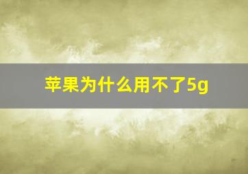 苹果为什么用不了5g