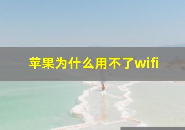 苹果为什么用不了wifi